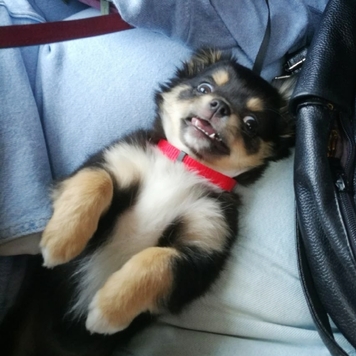 Фотоконкурс 