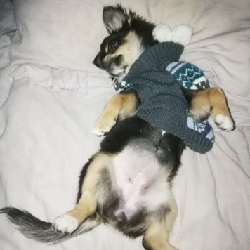 Фотоконкурс 