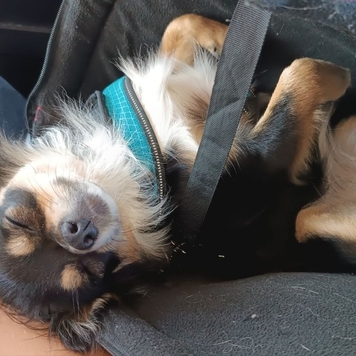 Фотоконкурс 