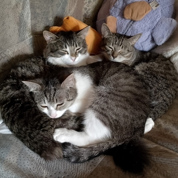 Фотоконкурс 