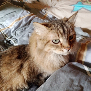 Фотоконкурс 