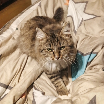 Фотоконкурс 