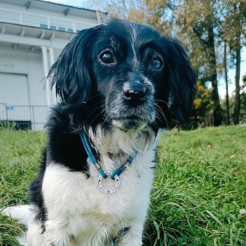 Фотоконкурс 📸 "Моя хвостатая любовь" 🐈💘
Хотите узнать...