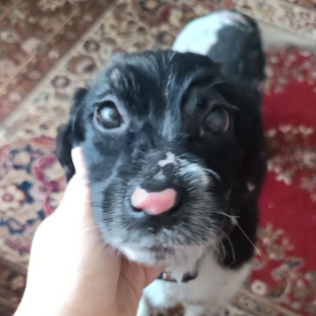 Фотоконкурс 📸 "Моя хвостатая любовь" 🐈💘
Хотите узнать...