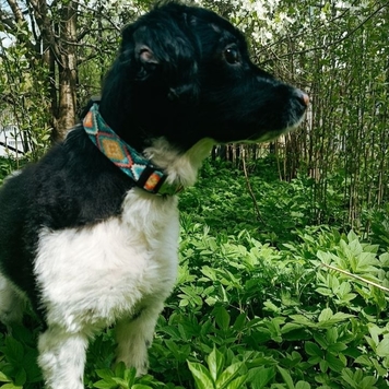 Фотоконкурс 📸 "Моя хвостатая любовь" 🐈💘
Хотите узнать...