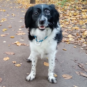 Фотоконкурс 📸 "Моя хвостатая любовь" 🐈💘
Хотите узнать...