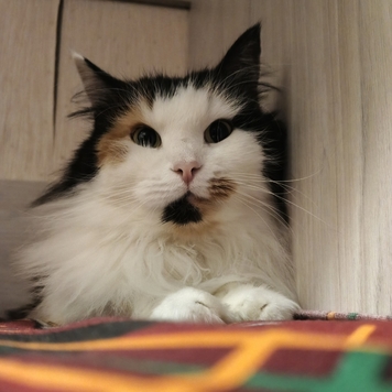 Фотоконкурс