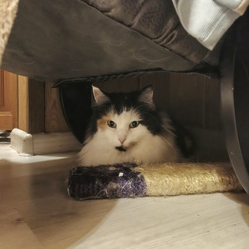 Фотоконкурс