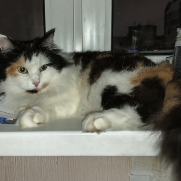 Фотоконкурс