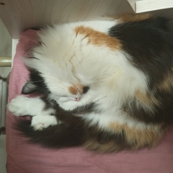 Фотоконкурс