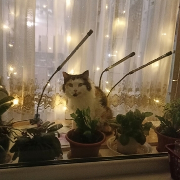 Фотоконкурс