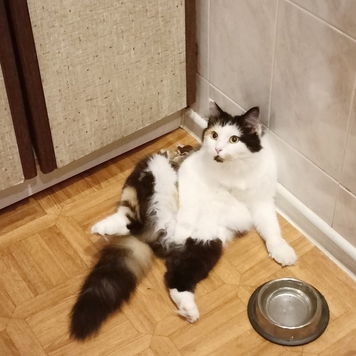 Фотоконкурс