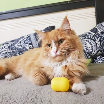 Фотоконкурс 