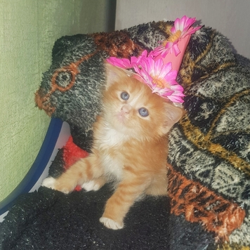 Фотоконкурс 