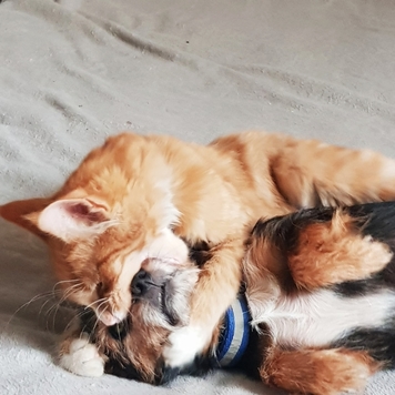 Фотоконкурс 