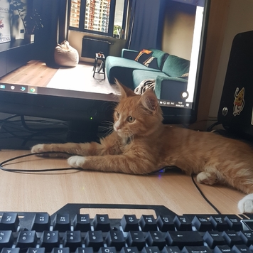 Фотоконкурс 