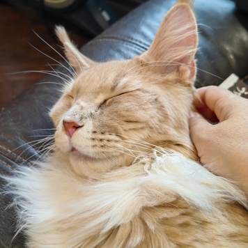 Фотоконкурс 