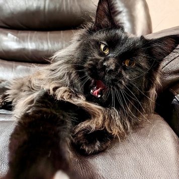 Фотоконкурс 