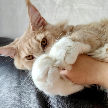 Фотоконкурс 