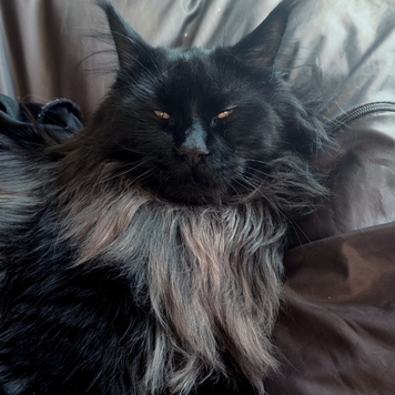 Фотоконкурс 