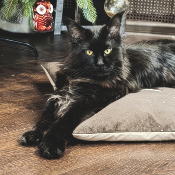 Фотоконкурс 