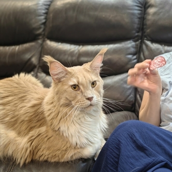 Фотоконкурс 