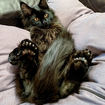 Фотоконкурс 