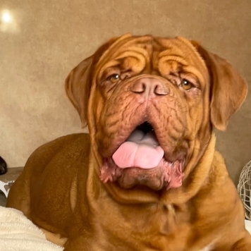 Фотоконкурс 