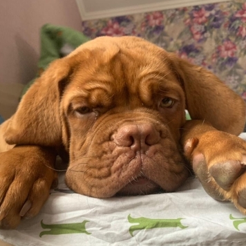 Фотоконкурс 