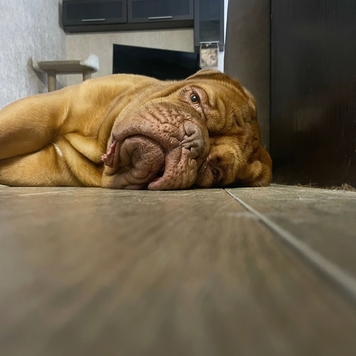 Фотоконкурс 