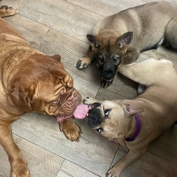 Фотоконкурс 