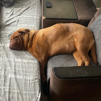 Фотоконкурс 