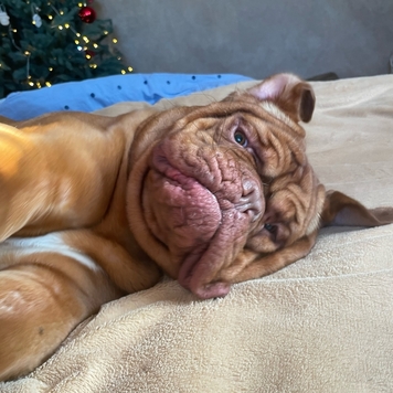 Фотоконкурс 