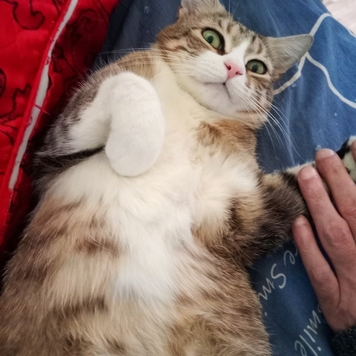 Фотоконкурс 