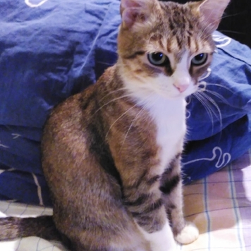 Фотоконкурс 