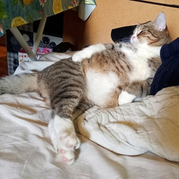 Фотоконкурс 