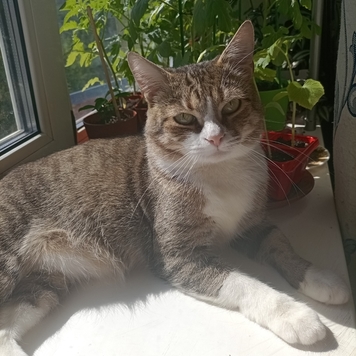 Фотоконкурс 