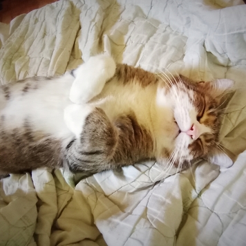 Фотоконкурс 