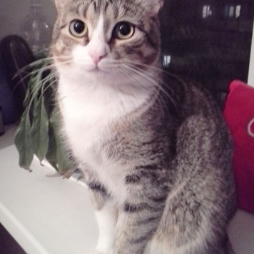 Фотоконкурс 