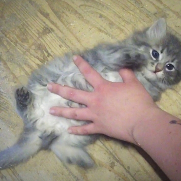 Фотоконкурс