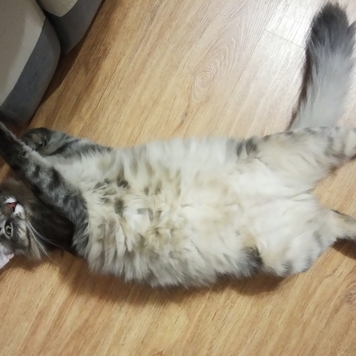 Фотоконкурс