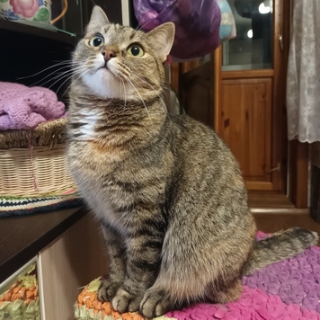 Фотоконкурс