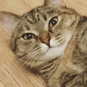 Фотоконкурс