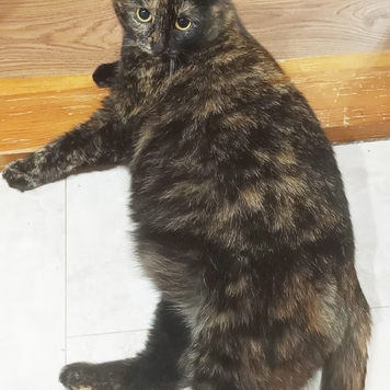 Фотоконкурс