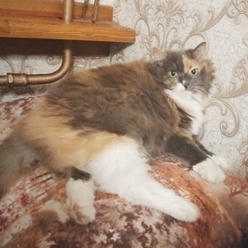 Фотоконкурс