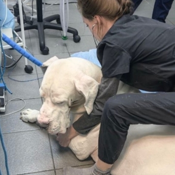 БАРС поздравляет