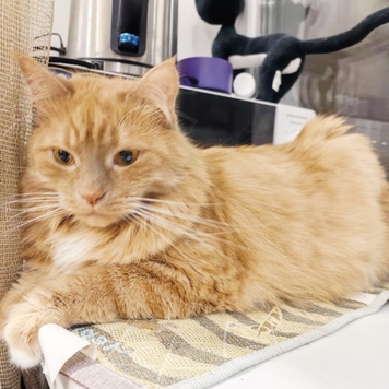 Фотоконкурс 