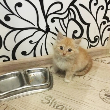 Фотоконкурс 