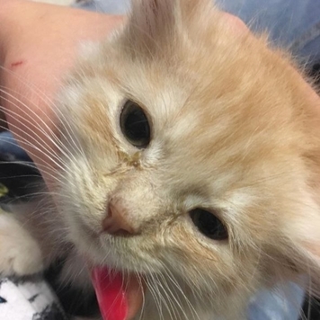 Фотоконкурс 