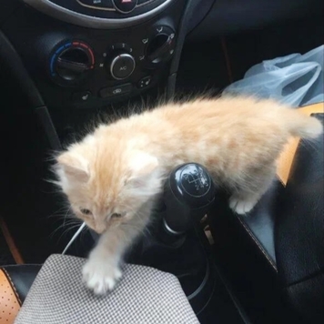 Фотоконкурс 